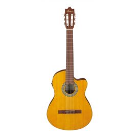IBANEZ GA3ECE-OAM